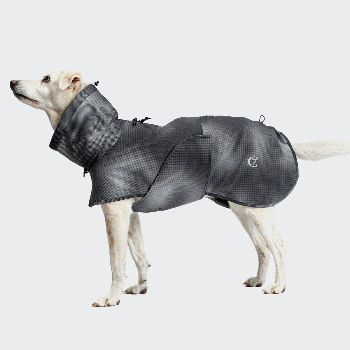Dog Raincoat AKTIV Black product image