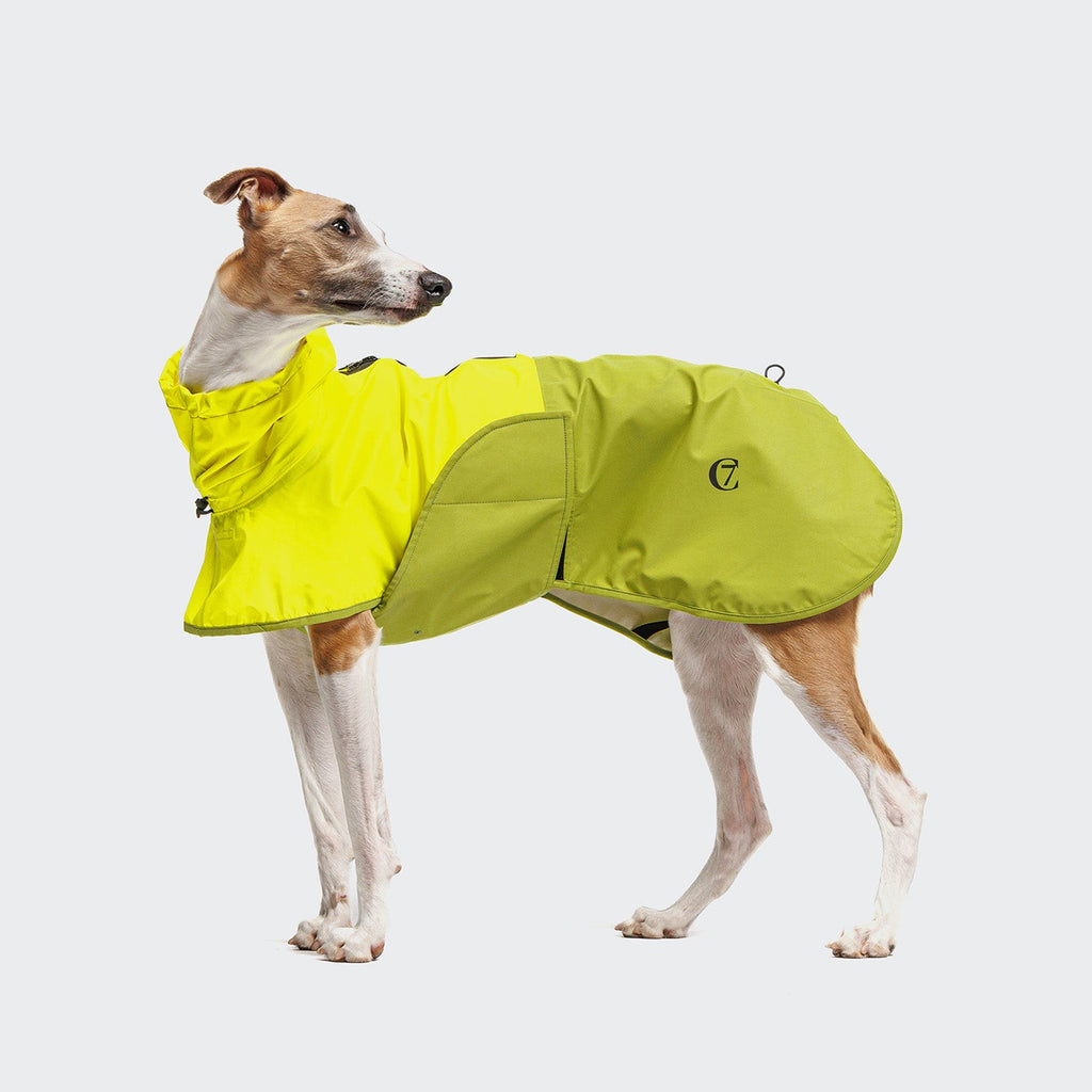 Dog Raincoat AKTIV Neon Green/Light Olive product image