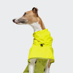 Dog Raincoat AKTIV Neon Green/Light Olive product image