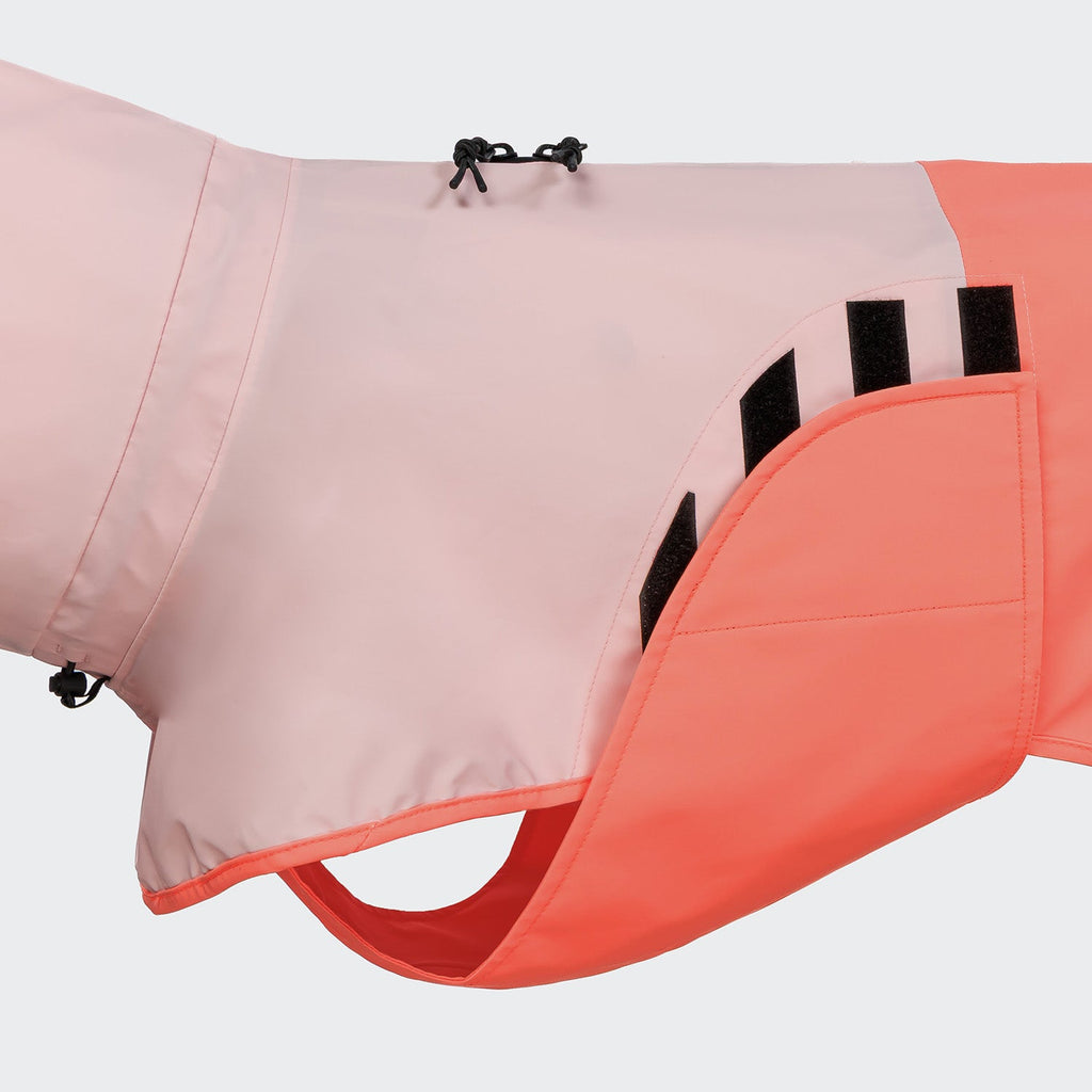 Dog Raincoat AKTIV Peach/Neon Pink product image