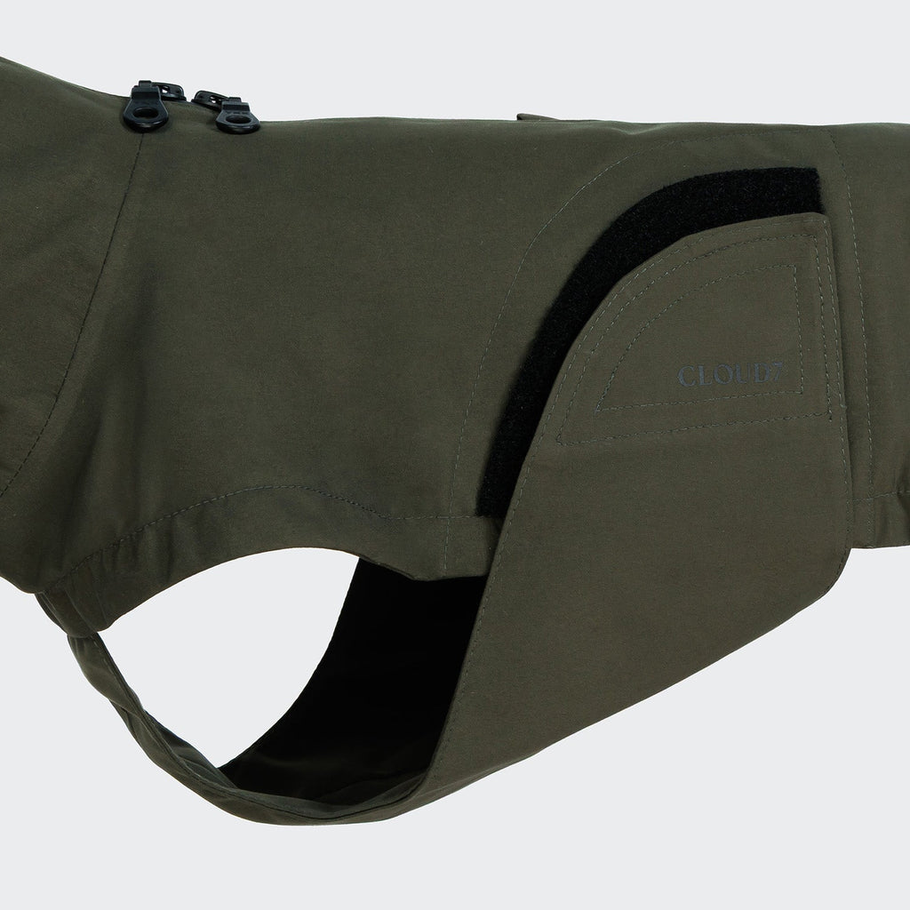 Dachshund Raincoat Dublin 2.0 Dark Olive product image