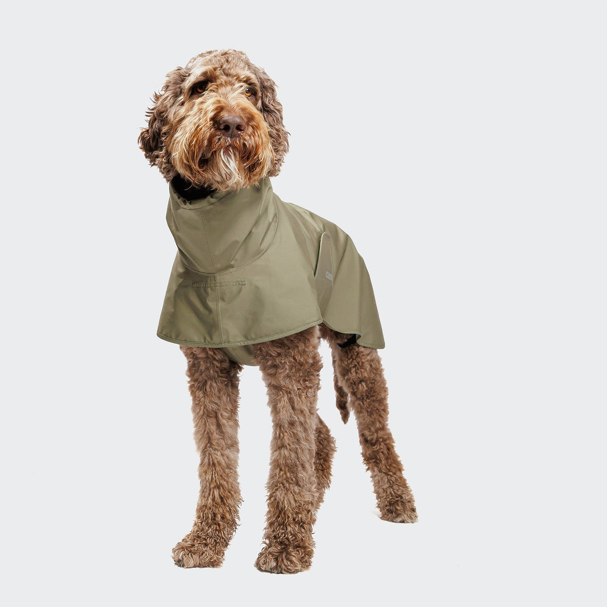 Dog Raincoat Helgoland Olive product image