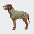 Dog Raincoat Helgoland Olive product image