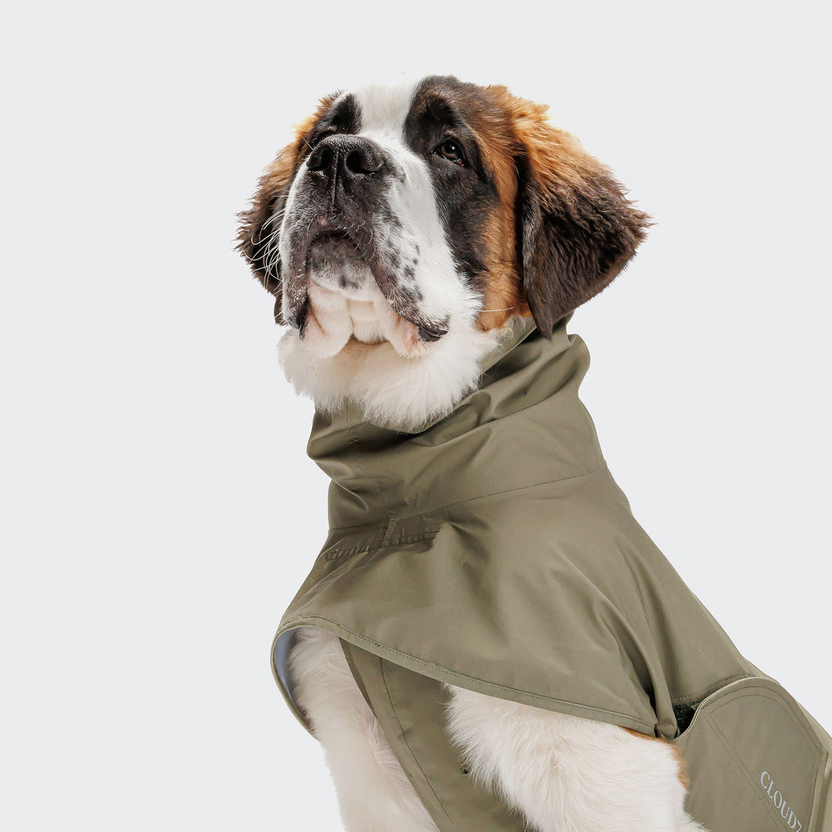 Dog Raincoat Helgoland Olive product image
