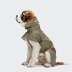 Dog Raincoat Helgoland Olive product image