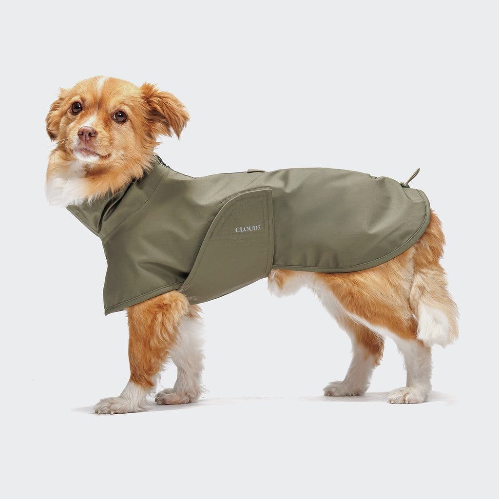 Dog Raincoat Helgoland Olive product image