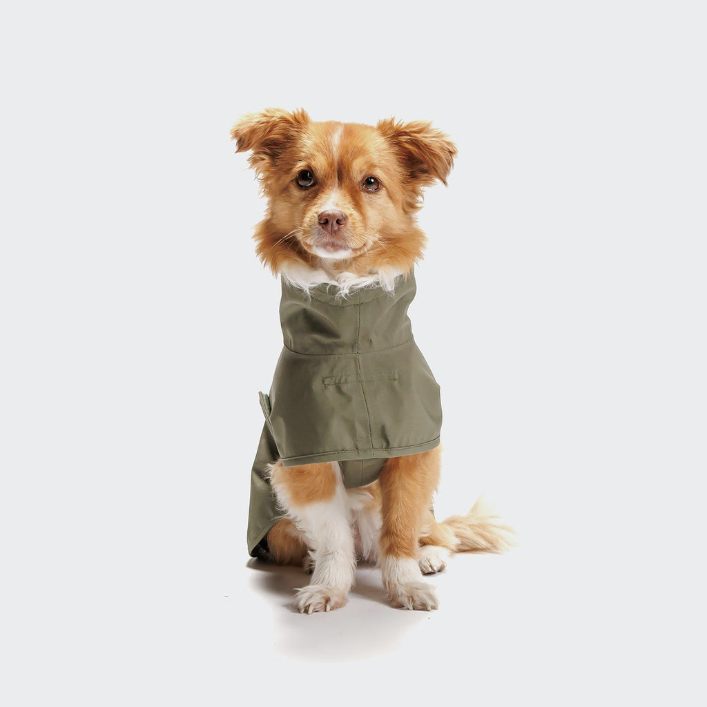 Dog Raincoat Helgoland Olive product image
