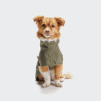 Dog Raincoat Helgoland Olive product image