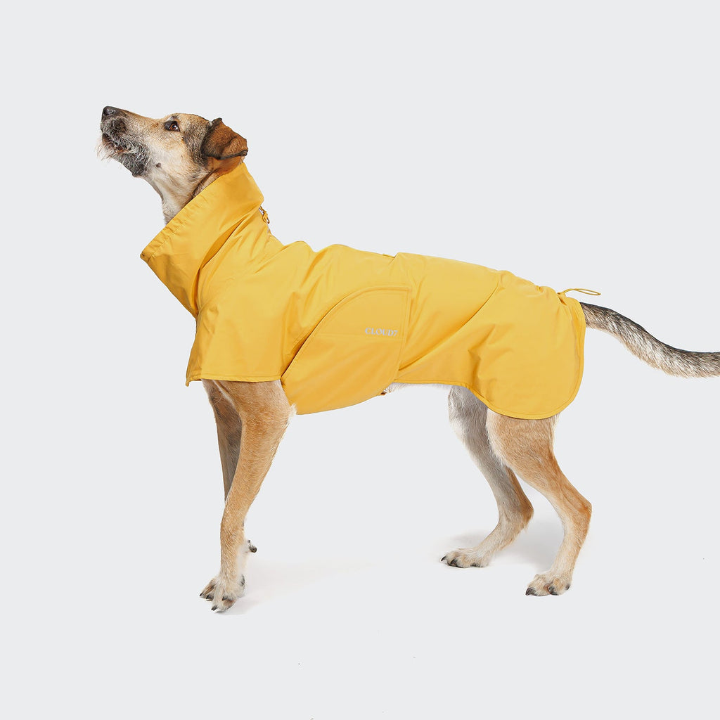 Dog Raincoat Helgoland Yellow product image