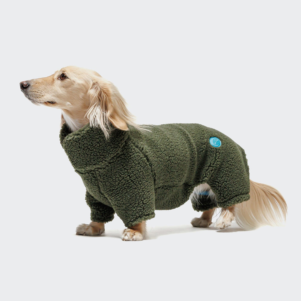 Dachshund Sweater Cornwall Teddy Olive product image