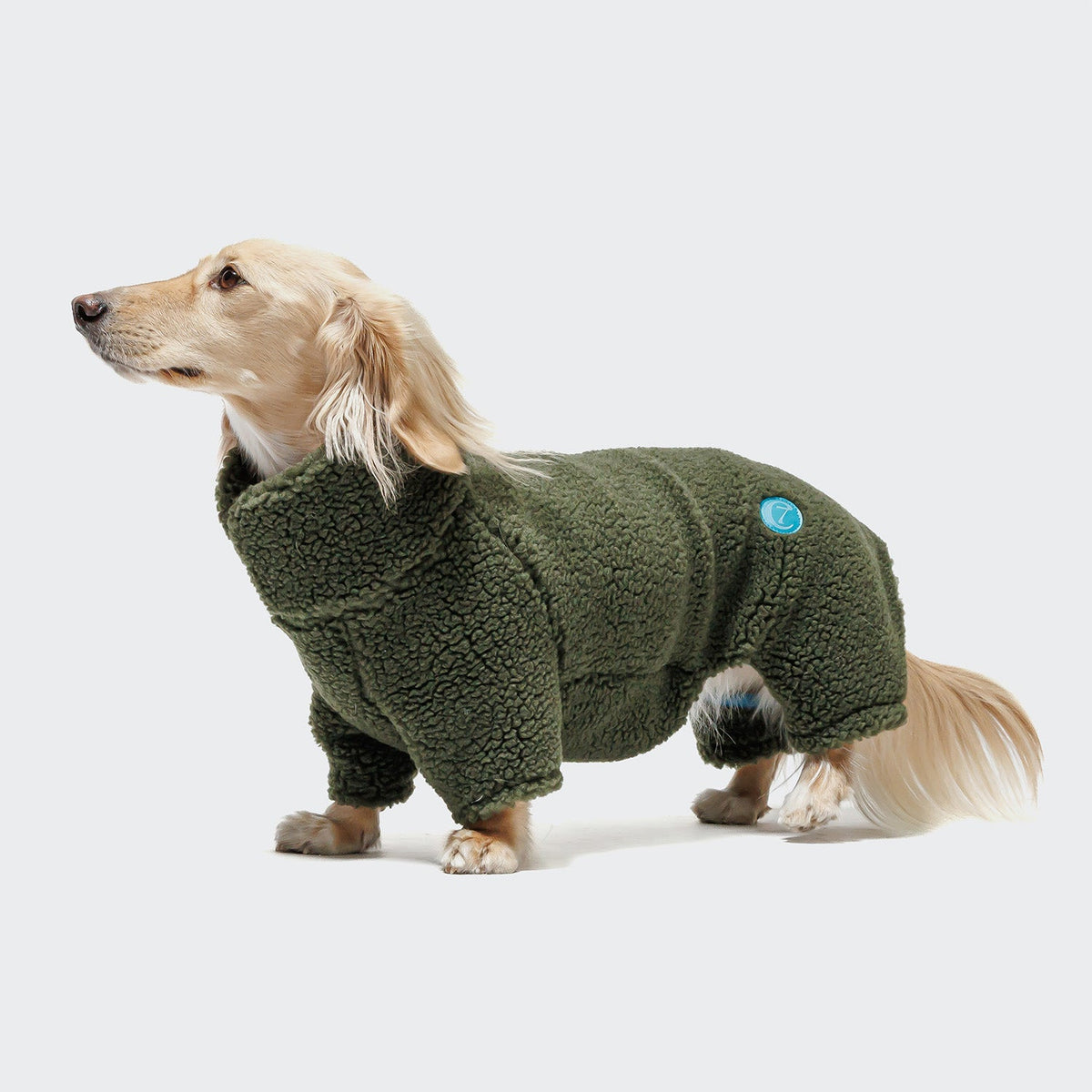 Dachshund Sweater Cornwall Teddy Olive product image