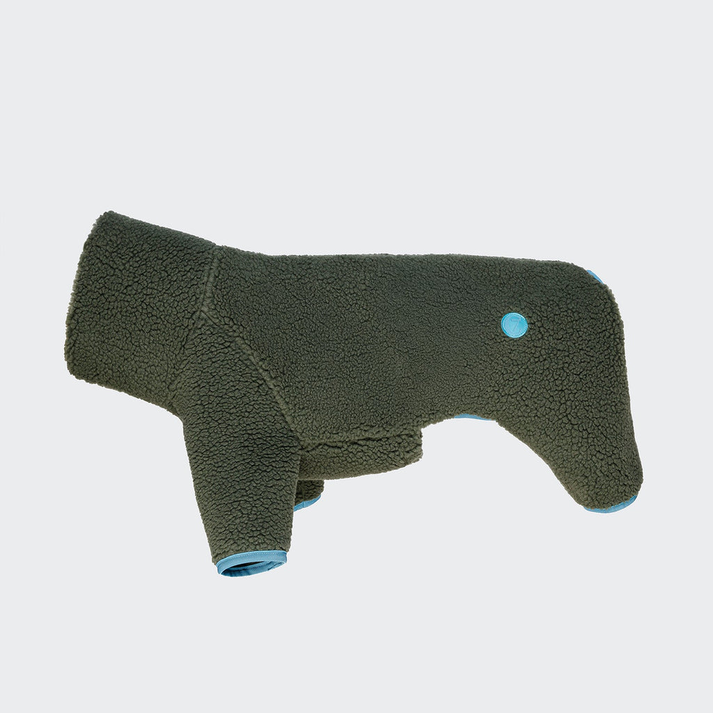 Dog Sweater Cornwall Teddy Olive product image