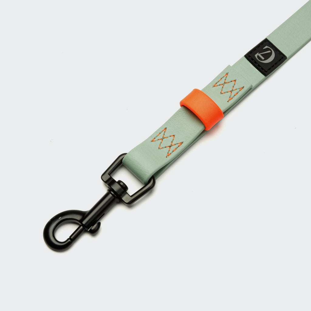 Long Line Dog Leash BioThane Ipanema Mint-Neon Orange product image