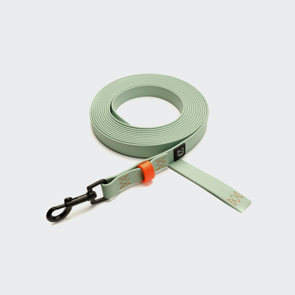 Long Line Dog Leash BioThane Ipanema Mint-Neon Orange product image