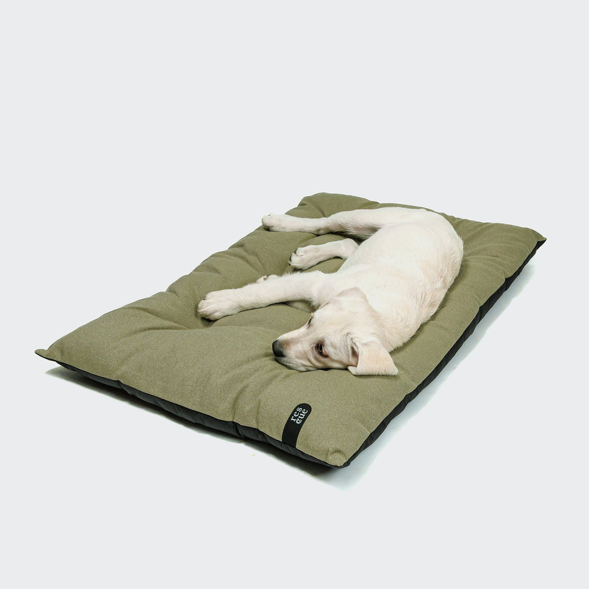 RESC7UE Dog Pillow Sage product image