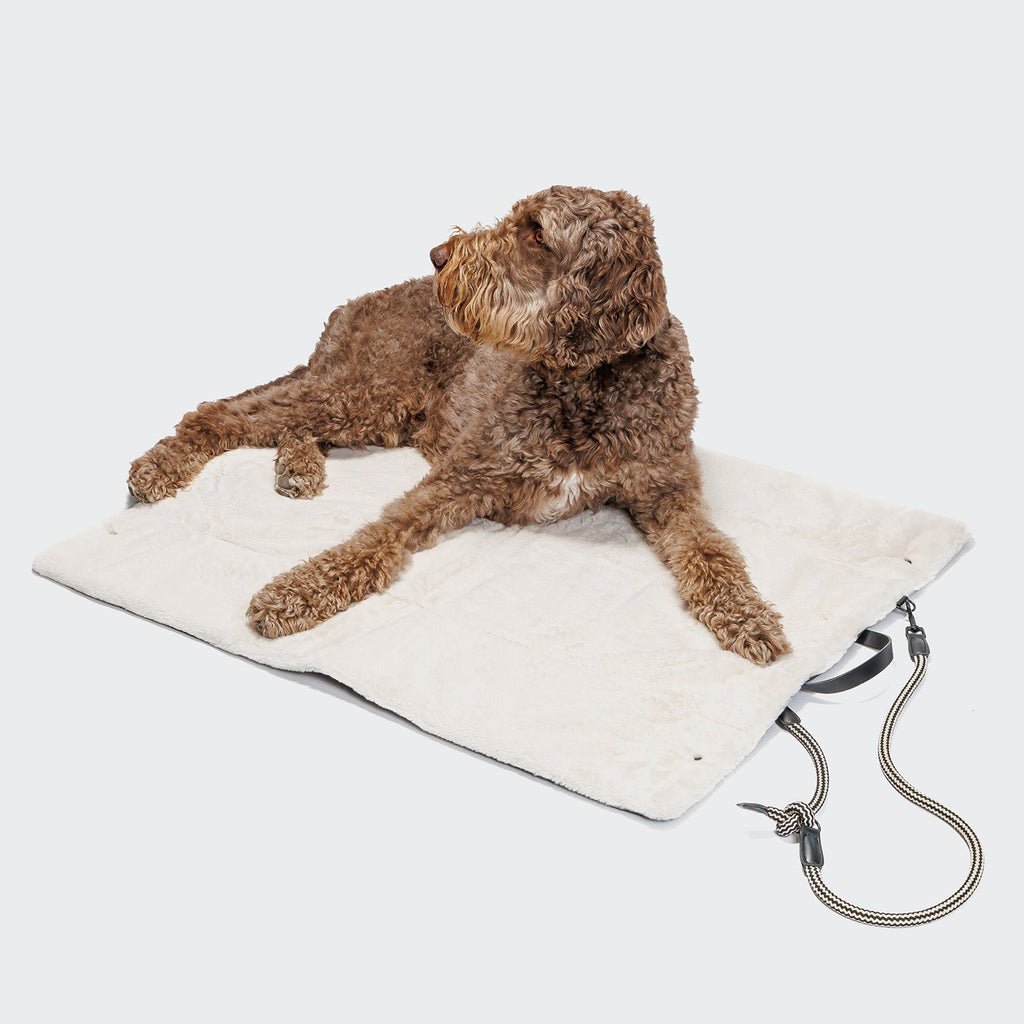 Dog Travel Bed Canvas Black product image