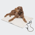 Dog Travel Bed Canvas Black product image