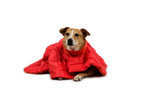 Palisades™ Sleep Poncho product image