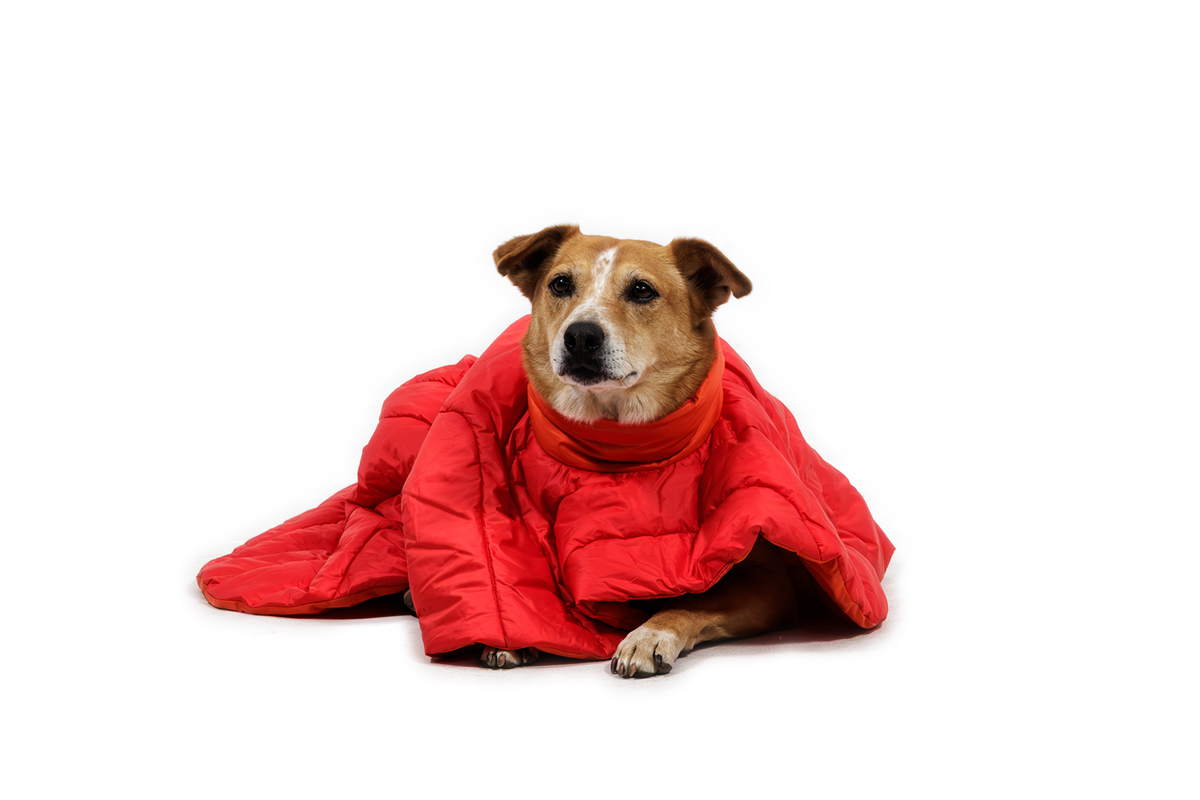 Palisades™ Sleep Poncho product image
