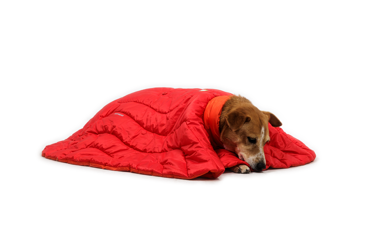 Palisades™ Sleep Poncho product image
