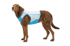 Swamp Cooler Zip™ Cooling Dog Vest product image