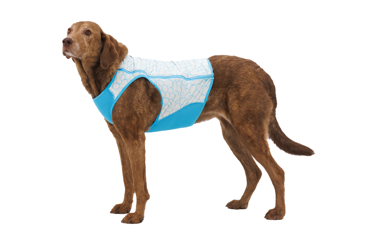 Swamp Cooler Zip™ Cooling Dog Vest product image
