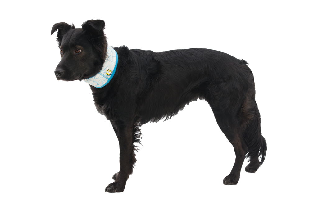 Swamp Cooler™ Cooling Neck Gaiter product image