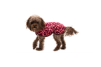 Climate Changer™ Fleece Vest product image