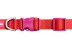 Front Range® Flex Collar product image