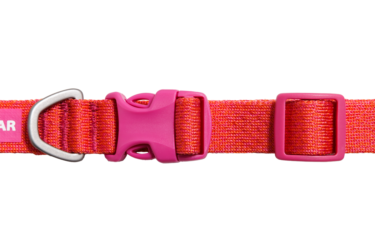 Front Range® Flex Collar product image