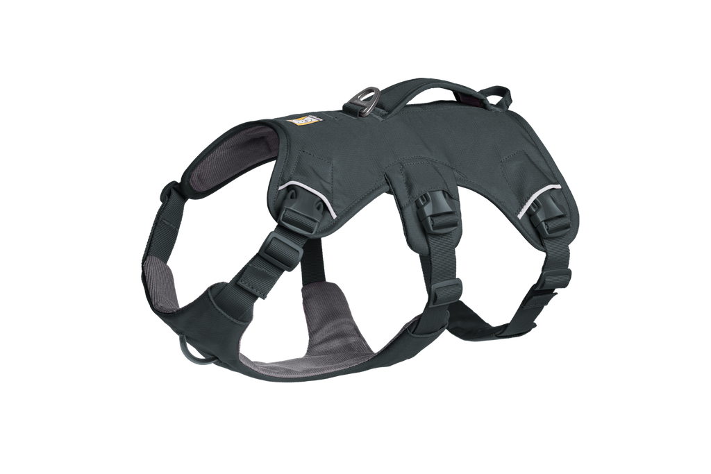 Web Master™ Dog Harness with Handle product image