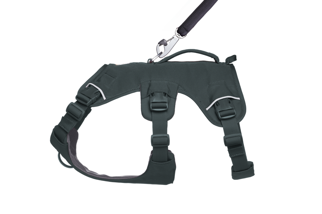 Web Master™ Dog Harness with Handle product image