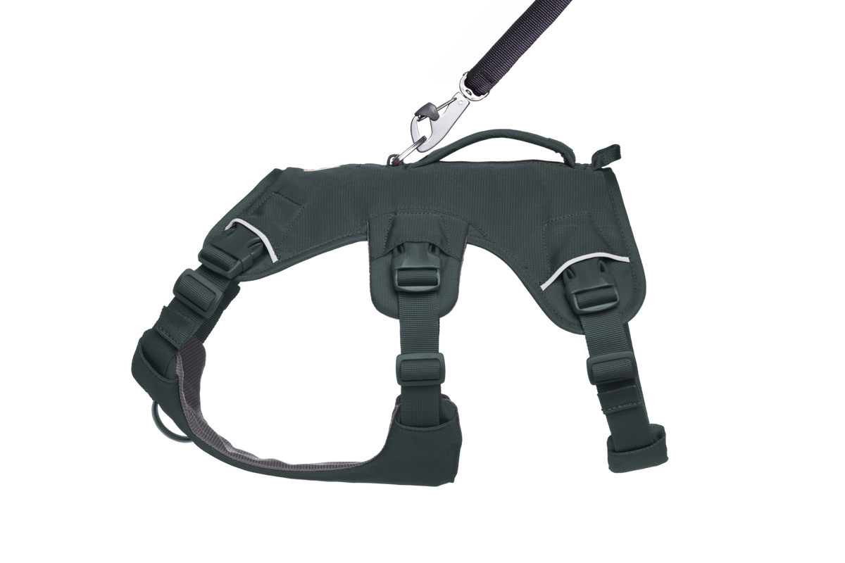 Web Master™ Dog Harness with Handle product image