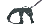 Web Master™ Dog Harness with Handle product image