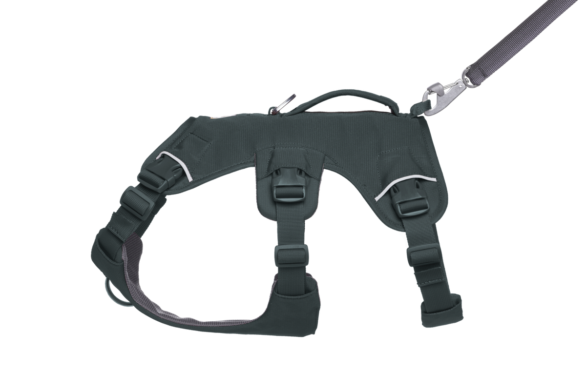 Web Master™ Dog Harness with Handle product image