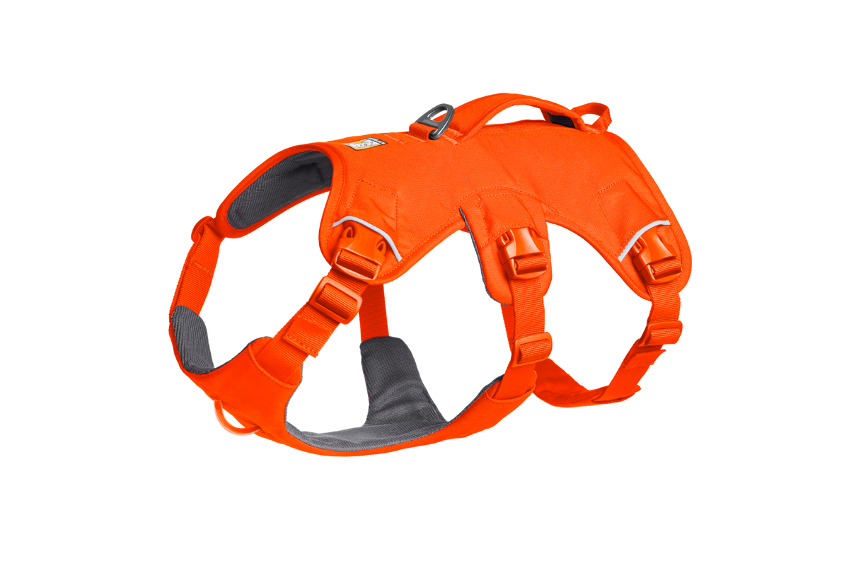 Web Master™ Dog Harness with Handle product image