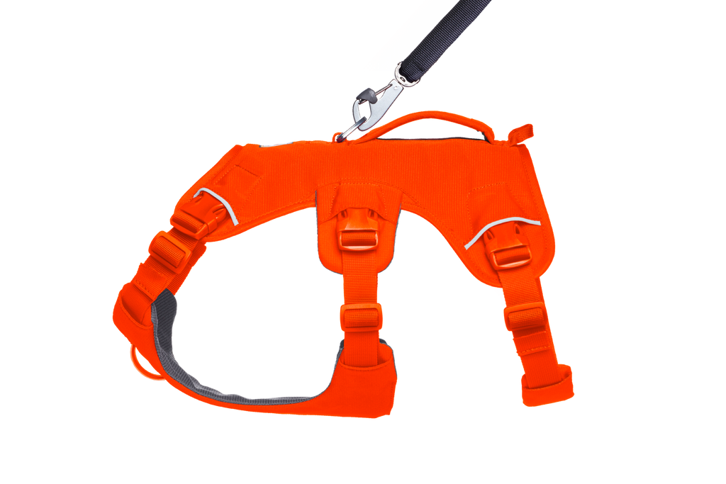 Web Master™ Dog Harness with Handle product image