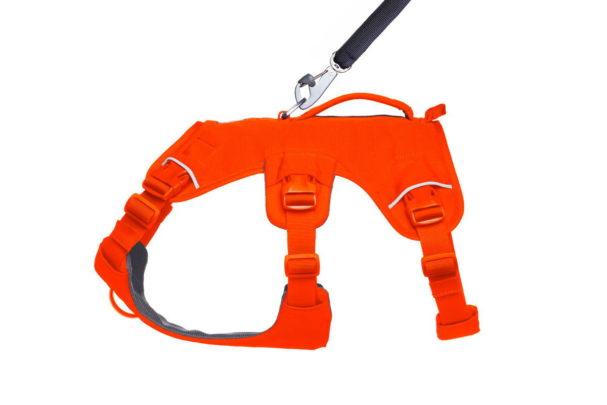 Web Master™ Dog Harness with Handle product image