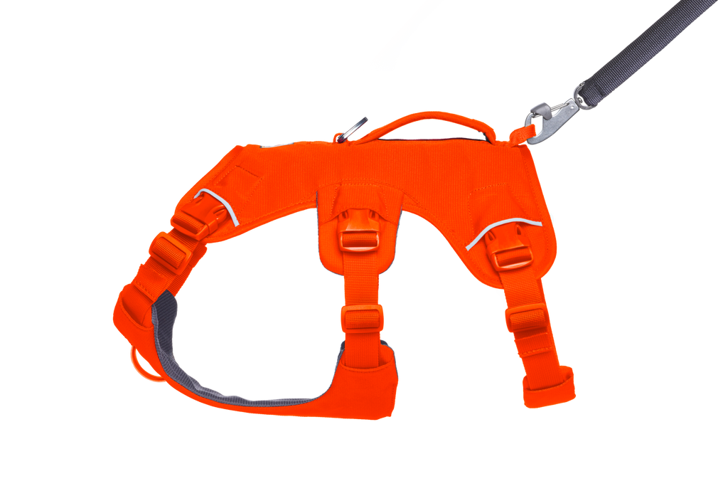 Web Master™ Dog Harness with Handle product image
