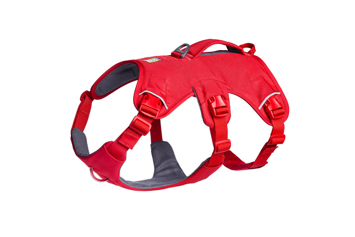 Web Master™ Dog Harness with Handle product image