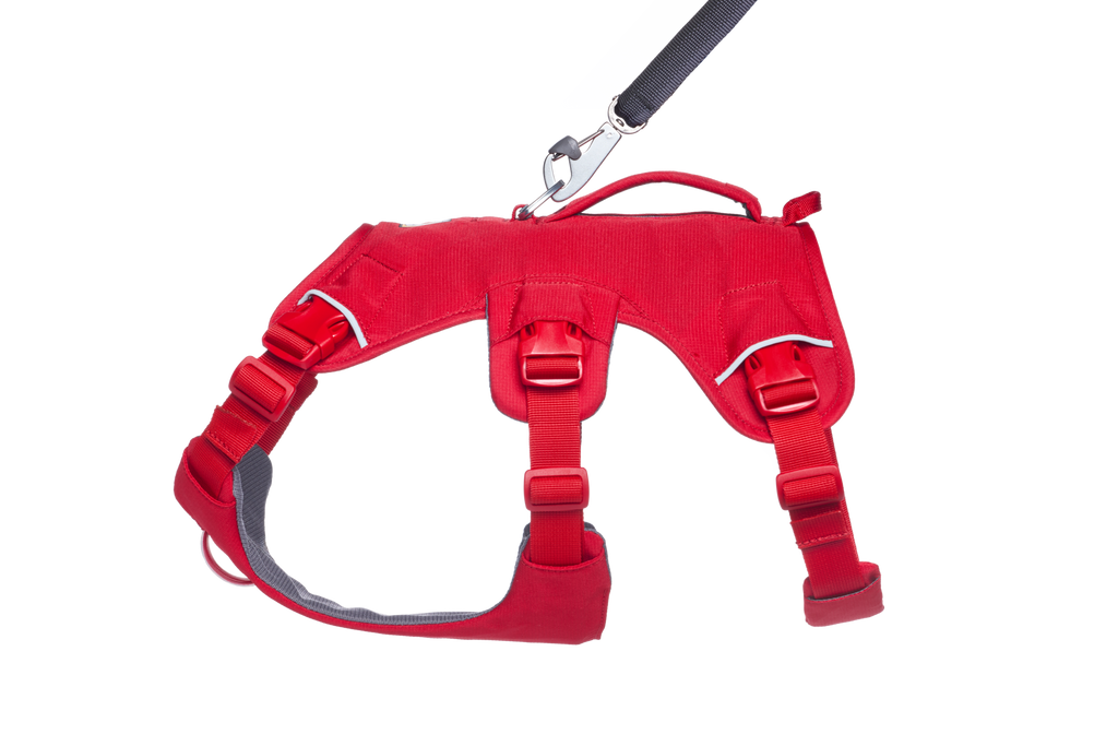 Web Master™ Dog Harness with Handle product image