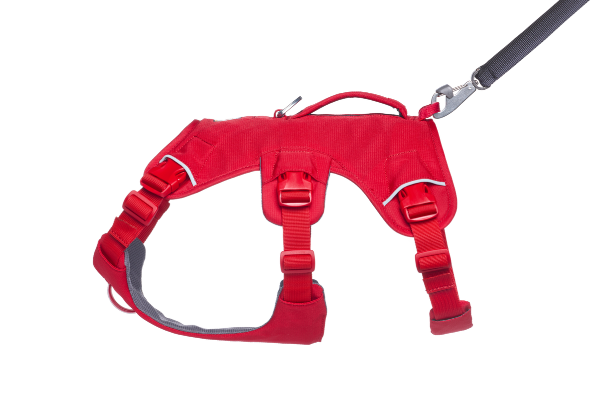 Web Master™ Dog Harness with Handle product image