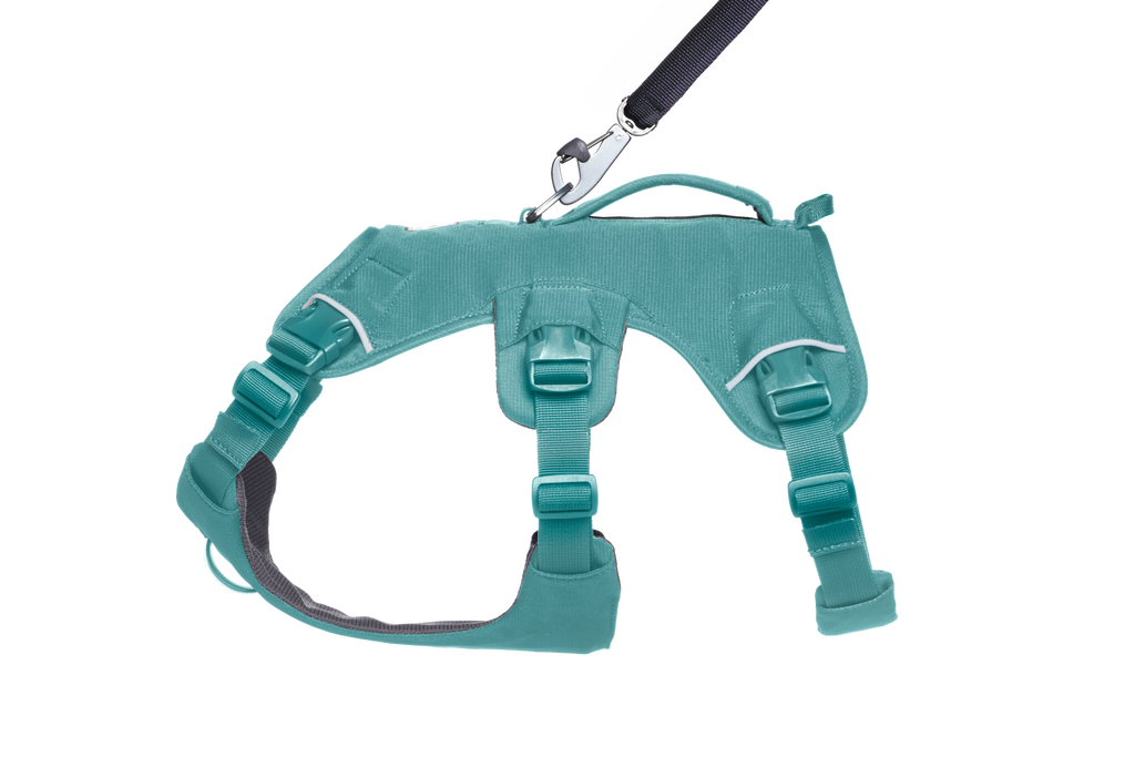 Web Master™ Dog Harness with Handle product image