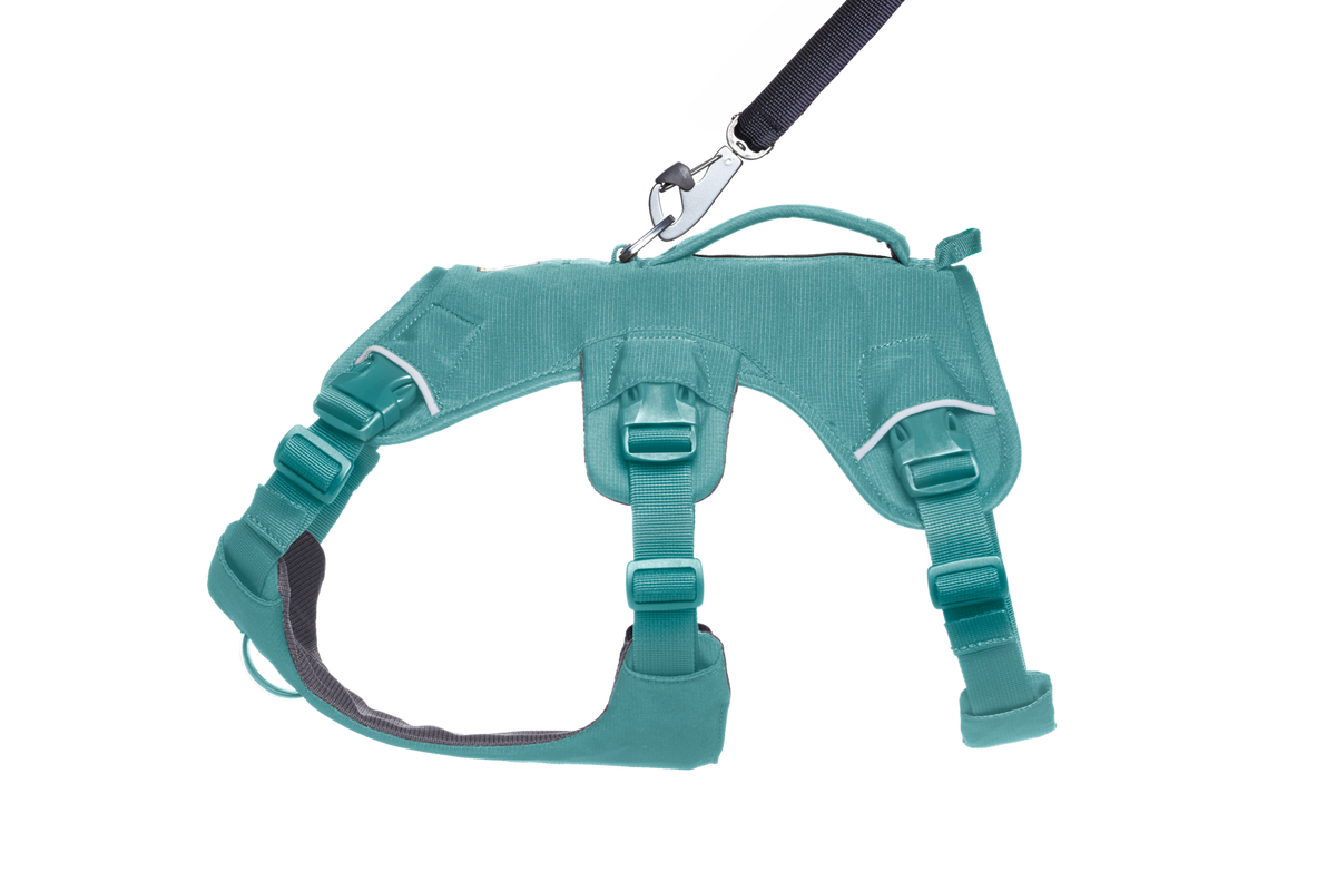 Web Master™ Dog Harness with Handle product image