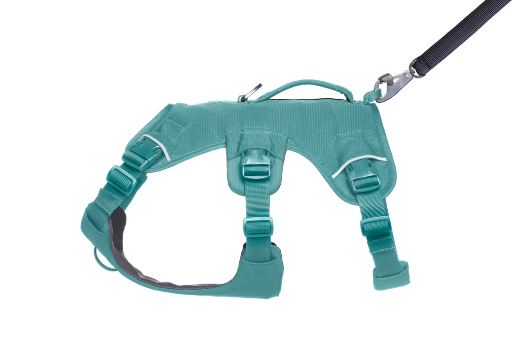 Web Master™ Dog Harness with Handle product image