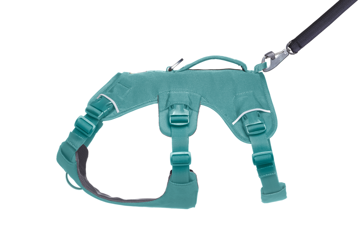 Web Master™ Dog Harness with Handle product image
