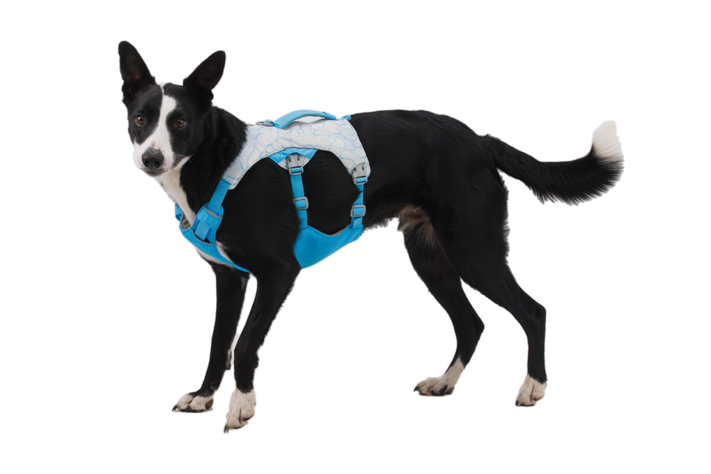 Swamp Cooler™ Dog Cooling Harness product image