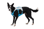 Swamp Cooler™ Dog Cooling Harness product image