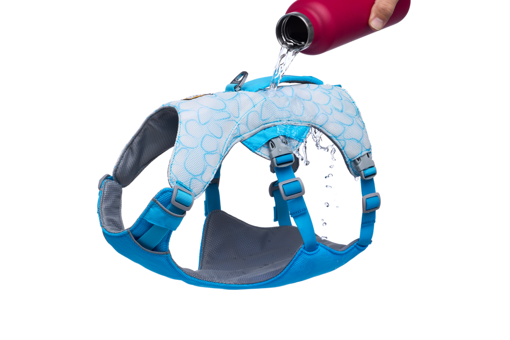 Swamp Cooler™ Dog Cooling Harness product image