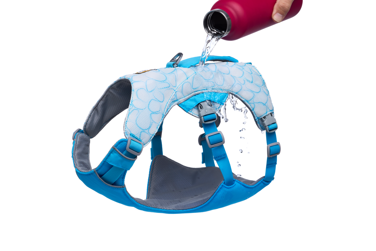 Swamp Cooler™ Dog Cooling Harness product image